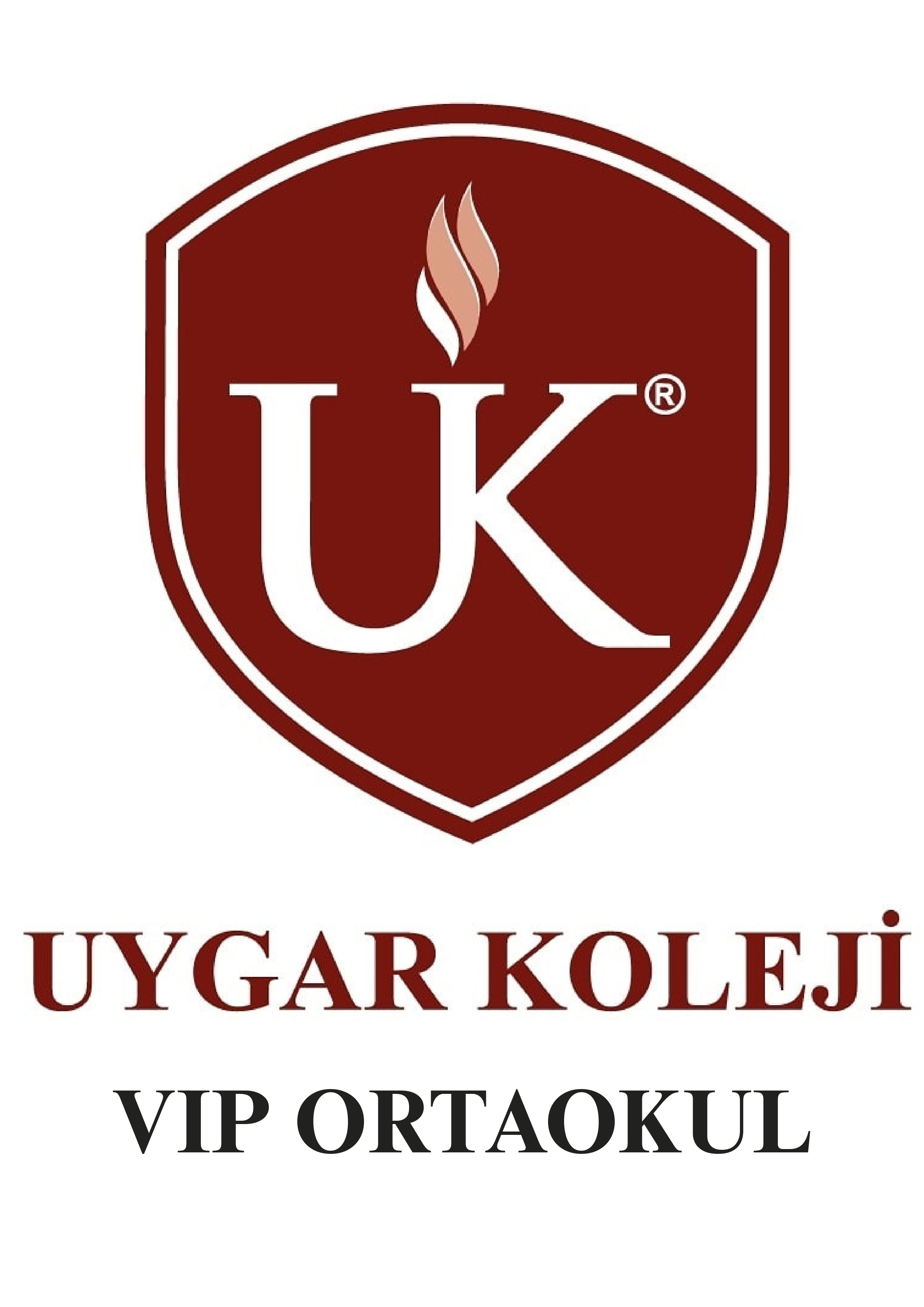 Uygar VIP Koleji Bursluluk Sınavı